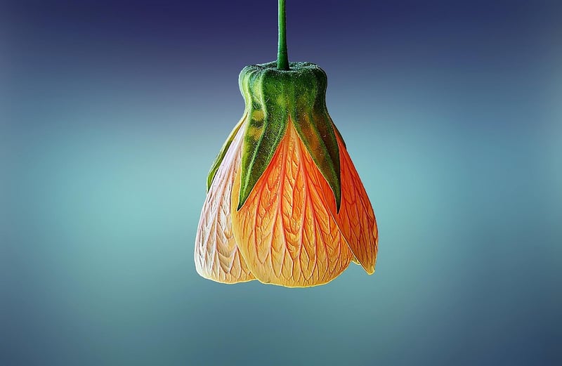 Hanging Plant Decor